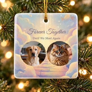 Rainbow Bridge Two Pet Photo Memorial Ceramic Ornament