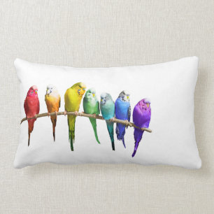 RAINBOW BUDGERIGARS White Pillow Cushion
