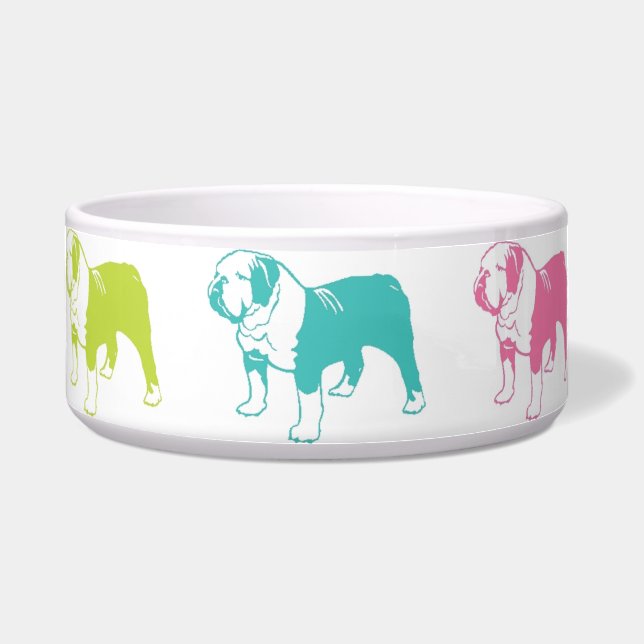 Rainbow Bulldog bowl (Front)
