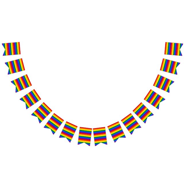 rainbow bunting flags (All)