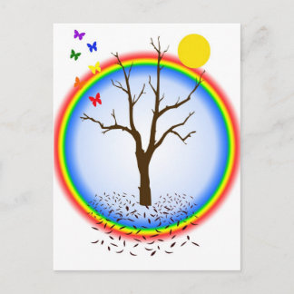 Rainbow Butterflies Postcard