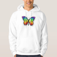 Rainbow butterfly Monarch