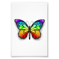 Rainbow butterfly Monarch