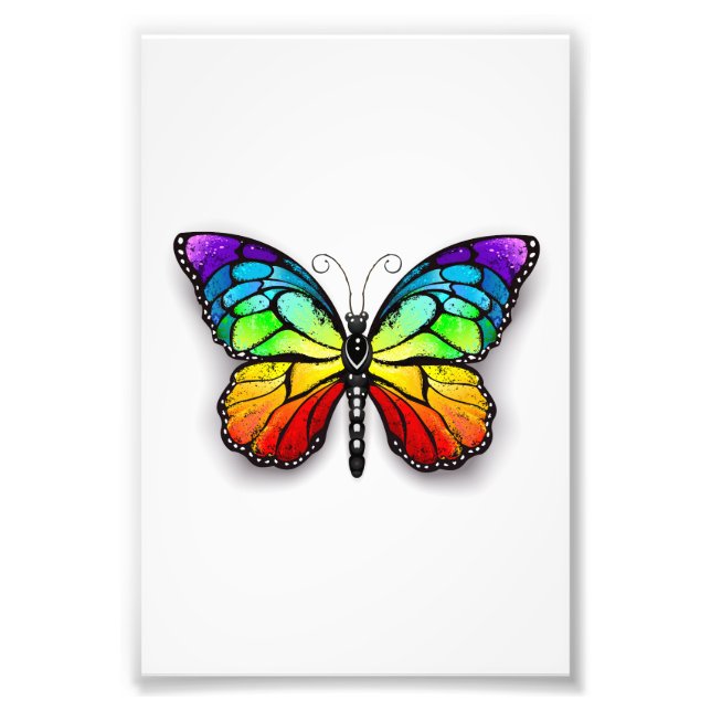 Rainbow butterfly Monarch Photo Print (Front)