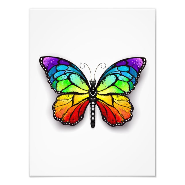 Rainbow butterfly Monarch Photo Print (Front)