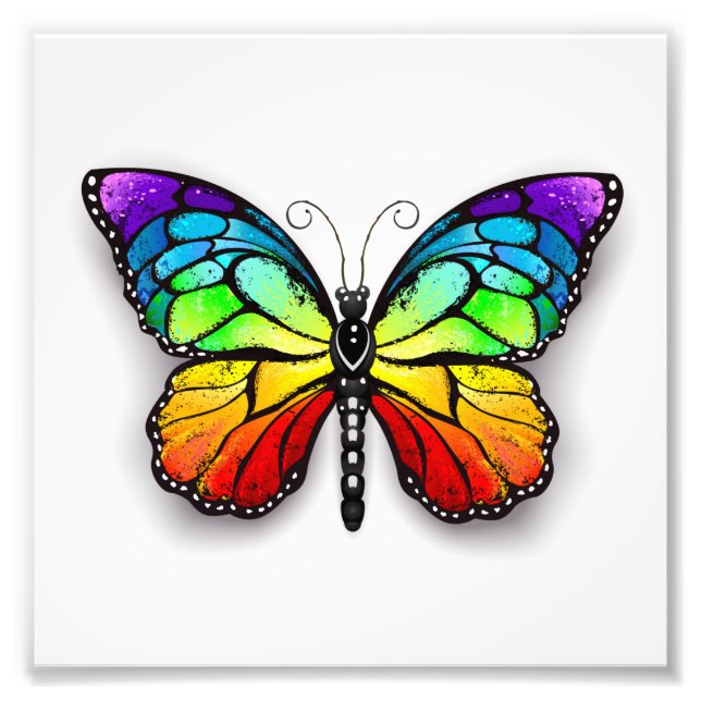 Rainbow butterfly Monarch Photo Print (Front)