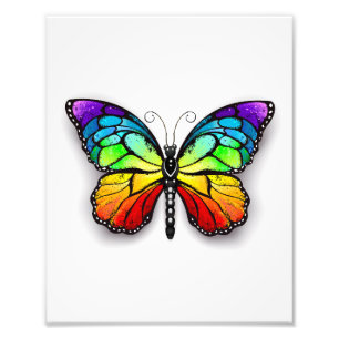 Rainbow butterfly Monarch Photo Print