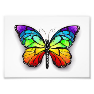 Rainbow butterfly Monarch Photo Print