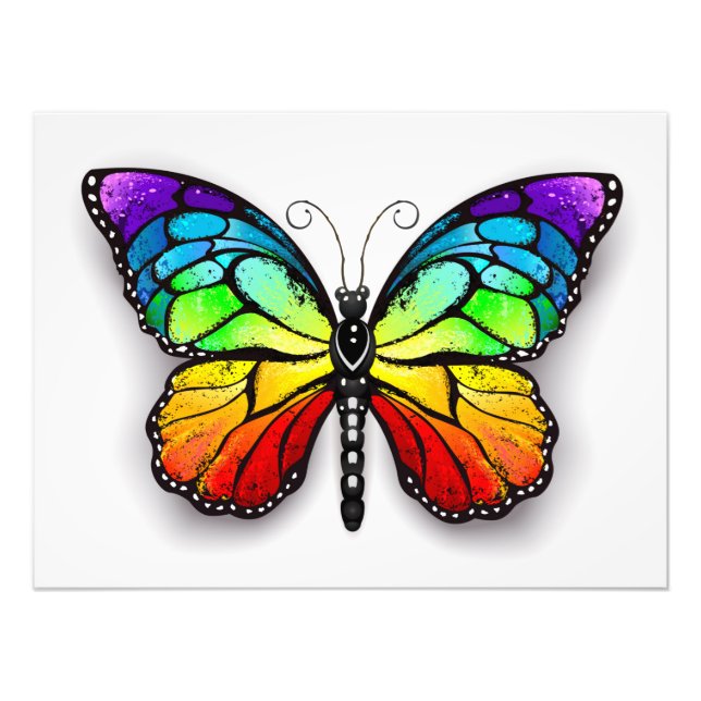 Rainbow butterfly Monarch Photo Print (Front)