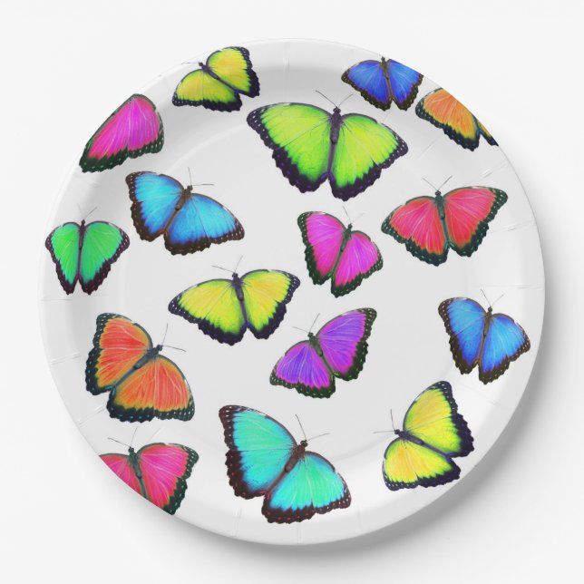 Rainbow Butterfly Paper Plate (Front)
