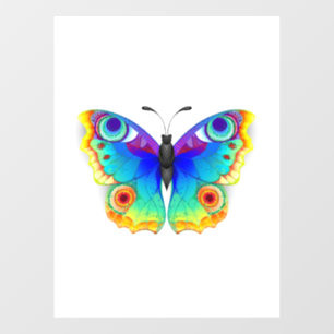 Rainbow Butterfly Peacock Eye