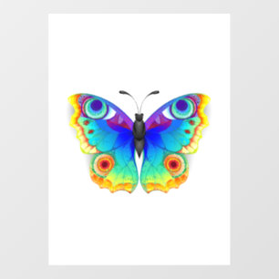 Rainbow Butterfly Peacock Eye