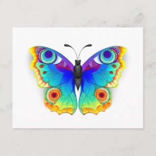 Rainbow Butterfly Peacock Eye Advice Card