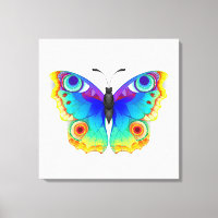 Rainbow Butterfly Peacock Eye