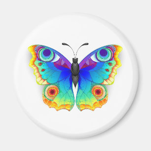 Rainbow Butterfly Peacock Eye Magnet