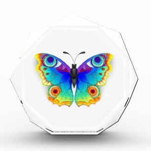 Rainbow Butterfly Peacock Eye Photo Block
