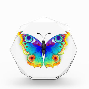 Rainbow Butterfly Peacock Eye Photo Block