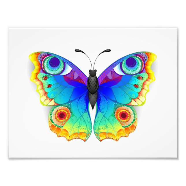 Rainbow Butterfly Peacock Eye Photo Print (Front)