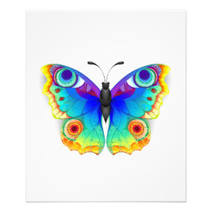 Rainbow Butterfly Peacock Eye Photo Print
