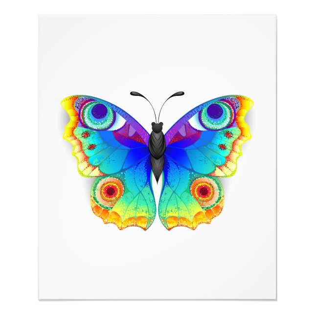 Rainbow Butterfly Peacock Eye Photo Print (Front)