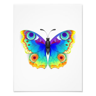Rainbow Butterfly Peacock Eye Photo Print