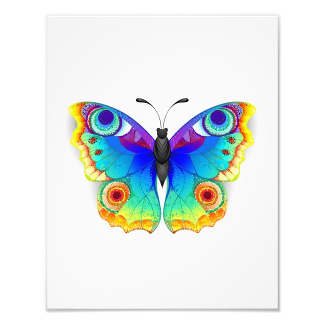 Rainbow Butterfly Peacock Eye Photo Print (Front)