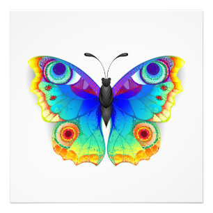 Rainbow Butterfly Peacock Eye Photo Print