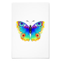 Rainbow Butterfly Peacock Eye