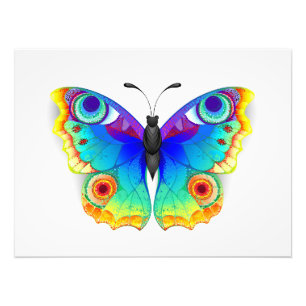 Rainbow Butterfly Peacock Eye Photo Print