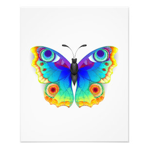 Rainbow Butterfly Peacock Eye Photo Print