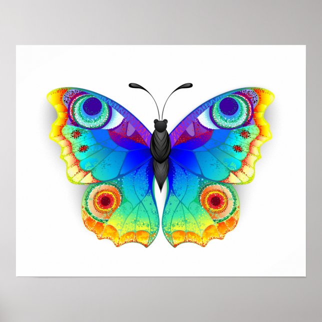 Rainbow Butterfly Peacock Eye Poster (Front)