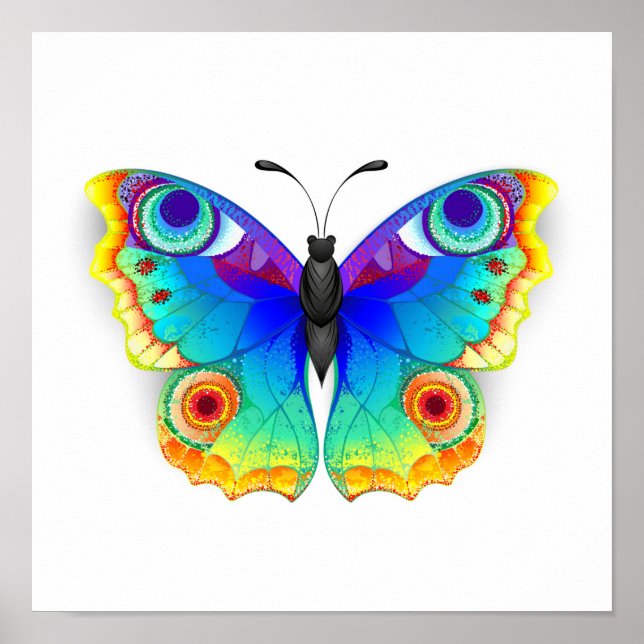 Rainbow Butterfly Peacock Eye Poster (Front)