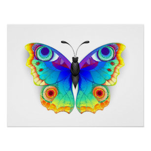 Rainbow Butterfly Peacock Eye Poster