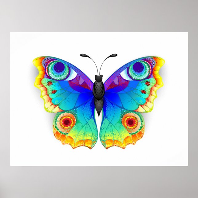 Rainbow Butterfly Peacock Eye Poster (Front)