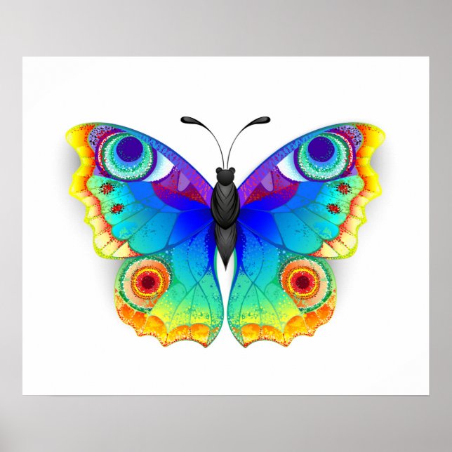 Rainbow Butterfly Peacock Eye Poster (Front)