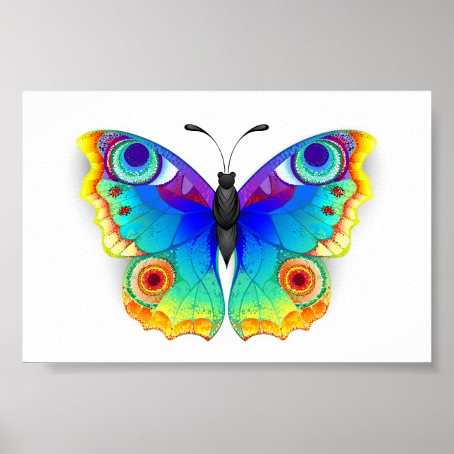Rainbow Butterfly Peacock Eye Poster (Front)