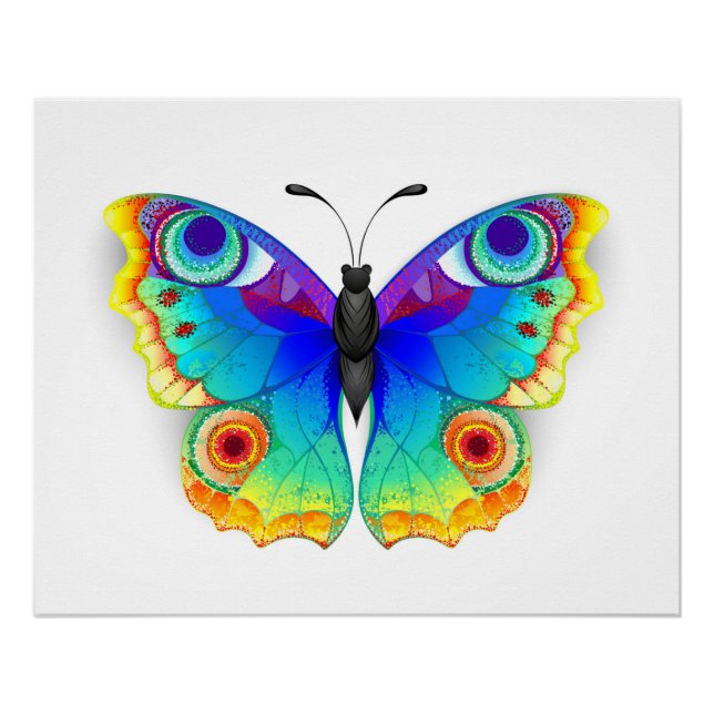 Rainbow Butterfly Peacock Eye Poster (Front)
