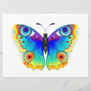 Rainbow Butterfly Peacock Eye Programme