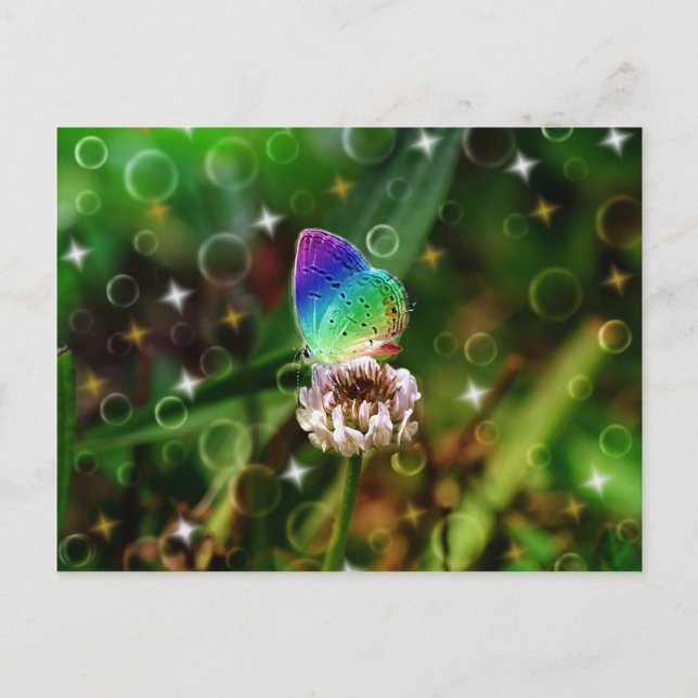 Rainbow Butterfly Postcard (Front)