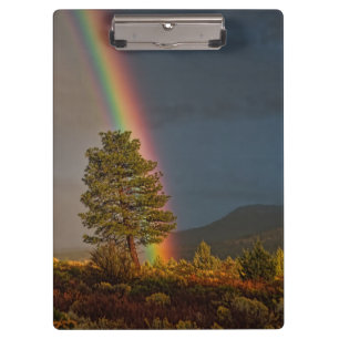 RAINBOW CLIPBOARD