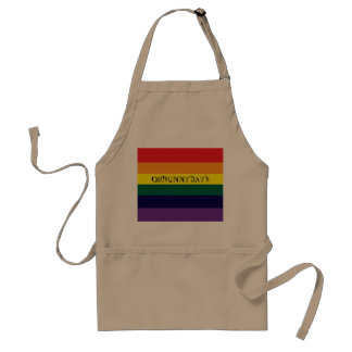 rainbow color standard apron