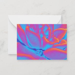 Rainbow colour Succulent plant Card