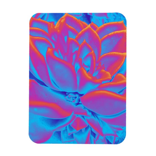 Rainbow colour Succulent plant Magnet (Vertical)