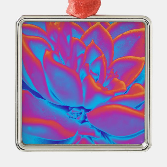 Rainbow colour Succulent plant Metal Tree Decoration (Front)