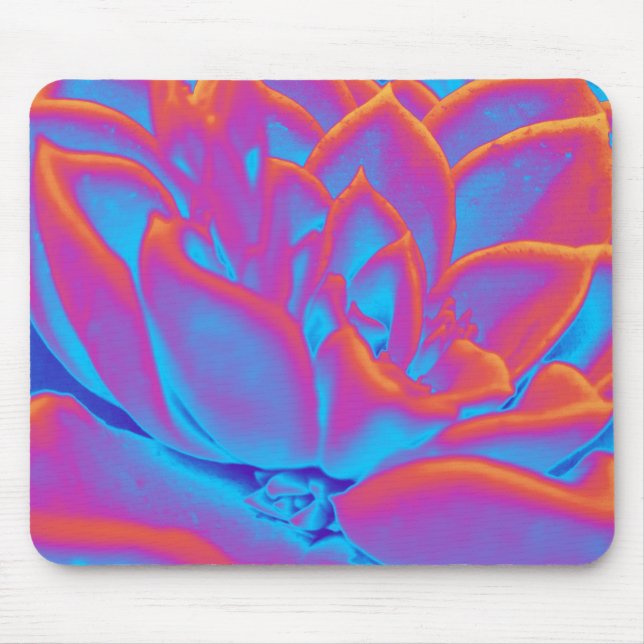 Rainbow colour Succulent plant Mouse Pad (Front)