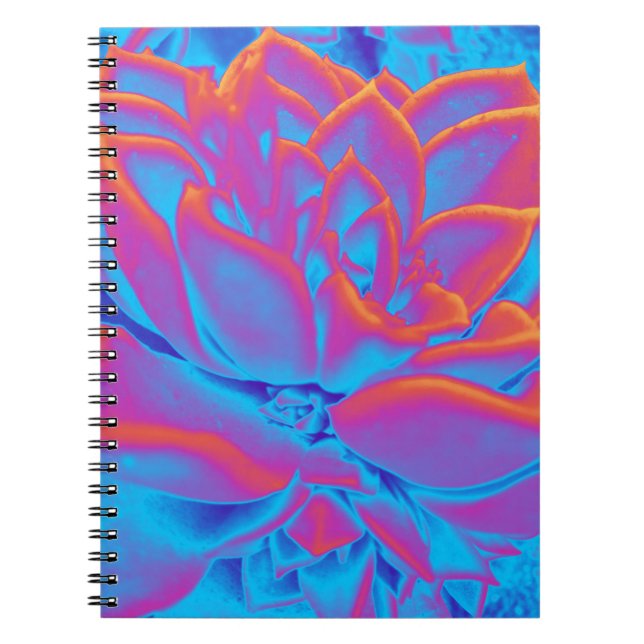 Rainbow colour Succulent plant Notebook (Front)