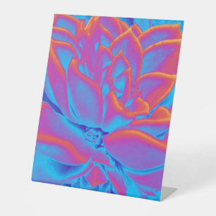 Rainbow colour Succulent plant Pedestal Sign