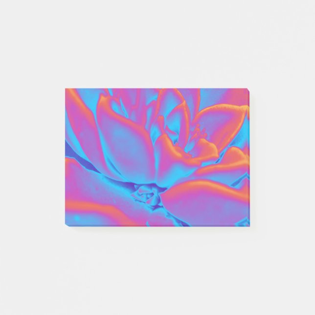 Rainbow colour Succulent plant Post-it Notes (Front)