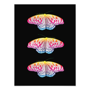 Rainbow-Coloured Butterflies Photo Print