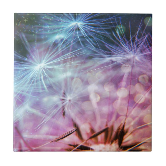 Rainbow Coloured Dandelion Puffs Floating Tile (Front)